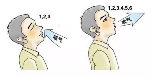 呼吸訓練-呼吸康復-心肺康復-心源性肺病-慢性阻塞性肺病-COPD-間質(zhì)性肺病-支氣管擴張-支氣管哮喘-腦卒中-心肺疾病-亞健康-圍手術(shù)期-肺減容手術(shù)-肺移植-主動呼吸訓練-被動呼吸訓練-抗阻式呼吸-膈肌-肋間肌-腹壁肌-胸鎖乳突肌-背部肌群-胸部肌群