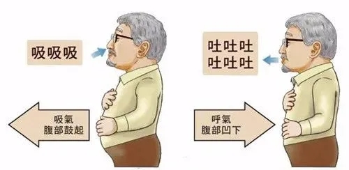 呼吸訓練-呼吸康復-心肺康復-心源性肺病-慢性阻塞性肺病-COPD-間質(zhì)性肺病-支氣管擴張-支氣管哮喘-腦卒中-心肺疾病-亞健康-圍手術(shù)期-肺減容手術(shù)-肺移植-主動呼吸訓練-被動呼吸訓練-抗阻式呼吸-膈肌-肋間肌-腹壁肌-胸鎖乳突肌-背部肌群-胸部肌群